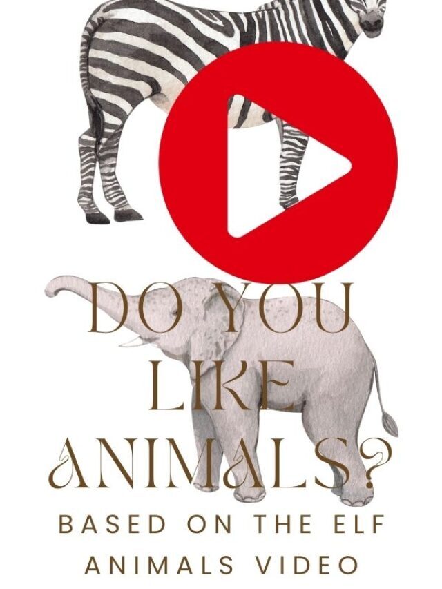 DO YOU LIKE ANIMALS? BASED ON THE ELF VIDEO ON YOUTUBE.